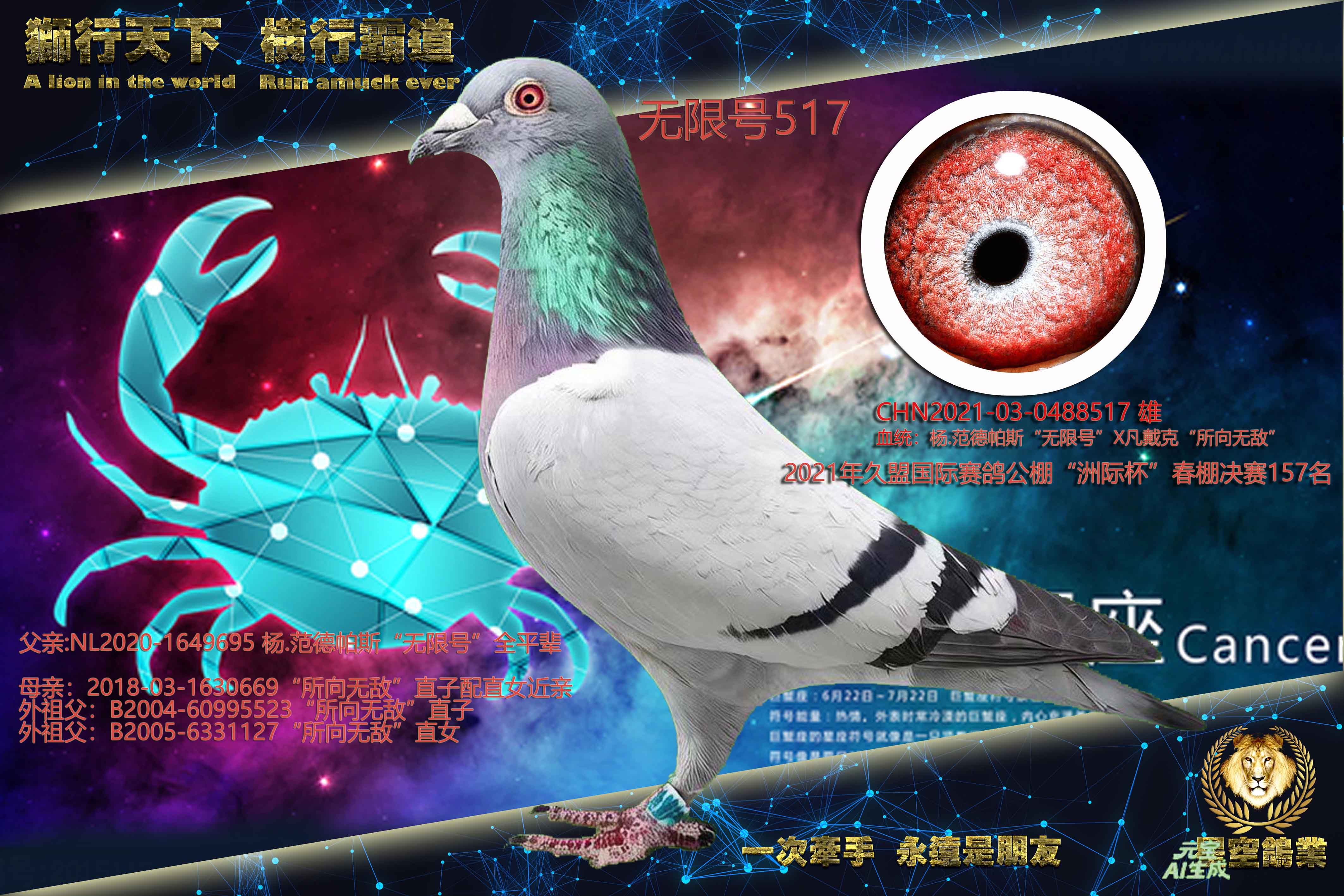 ���޺�517