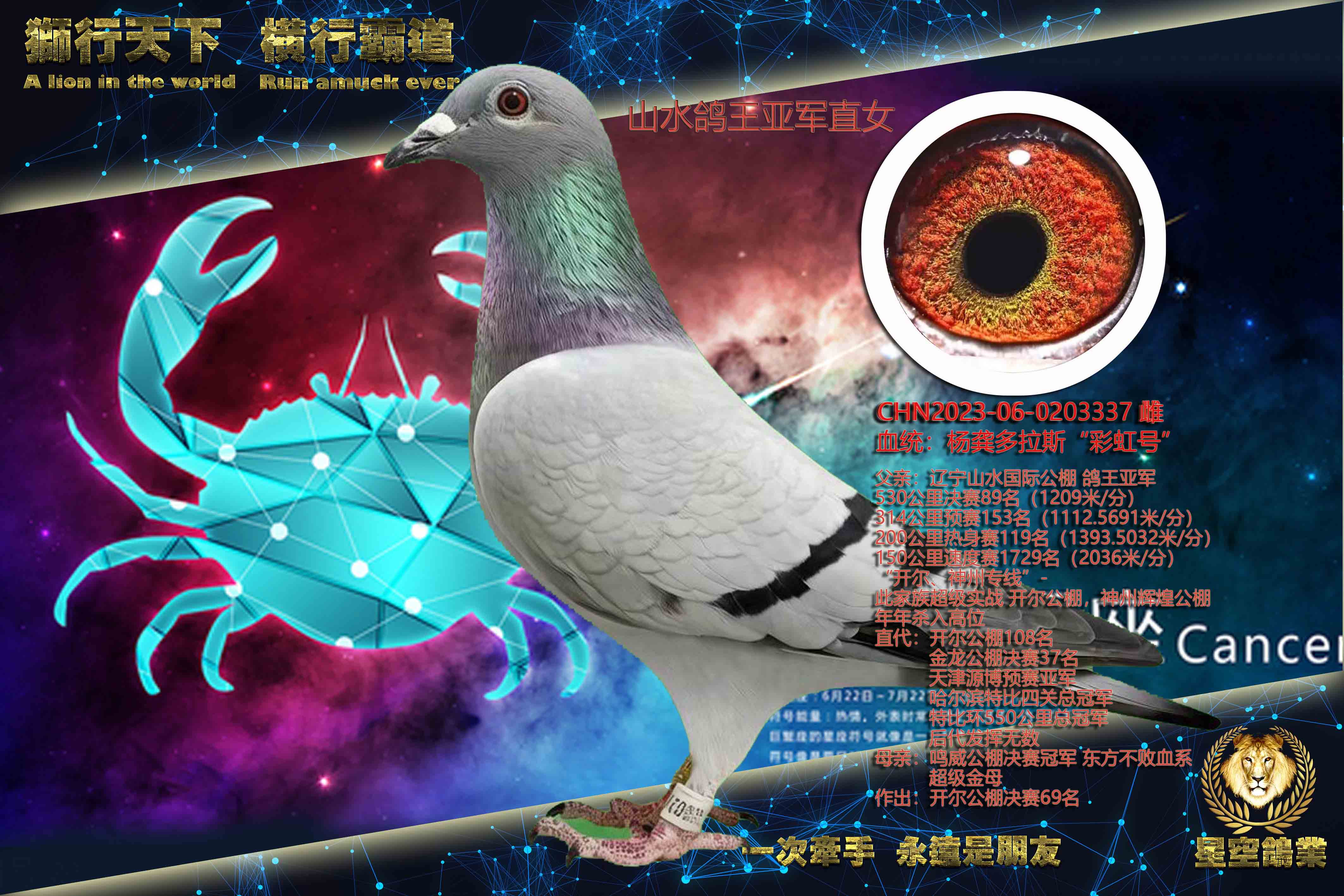 �����Ǿ�ֱŮ