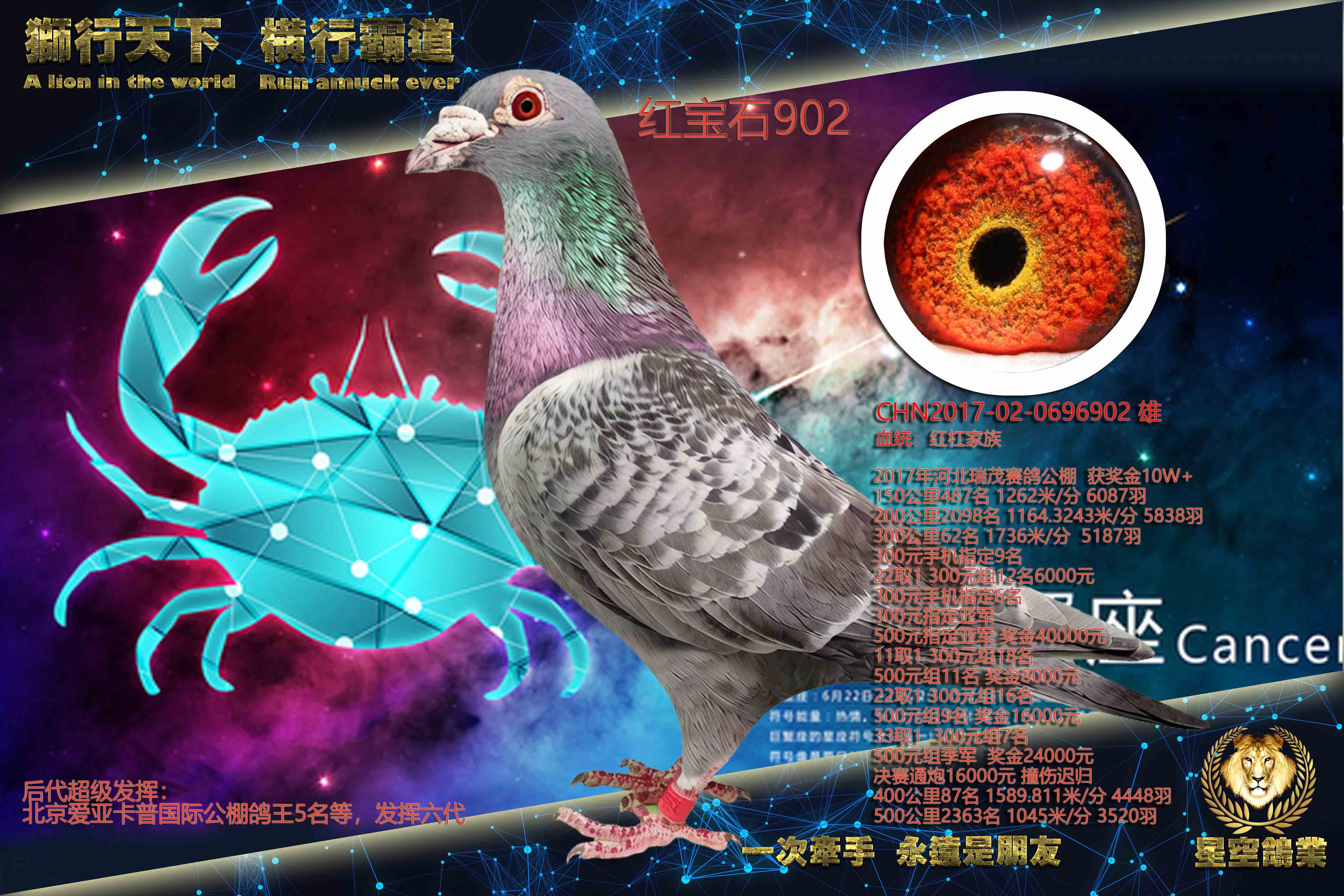 �챦ʯ902