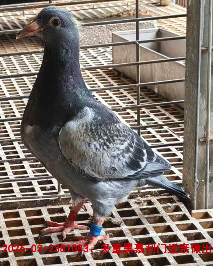Ľ����