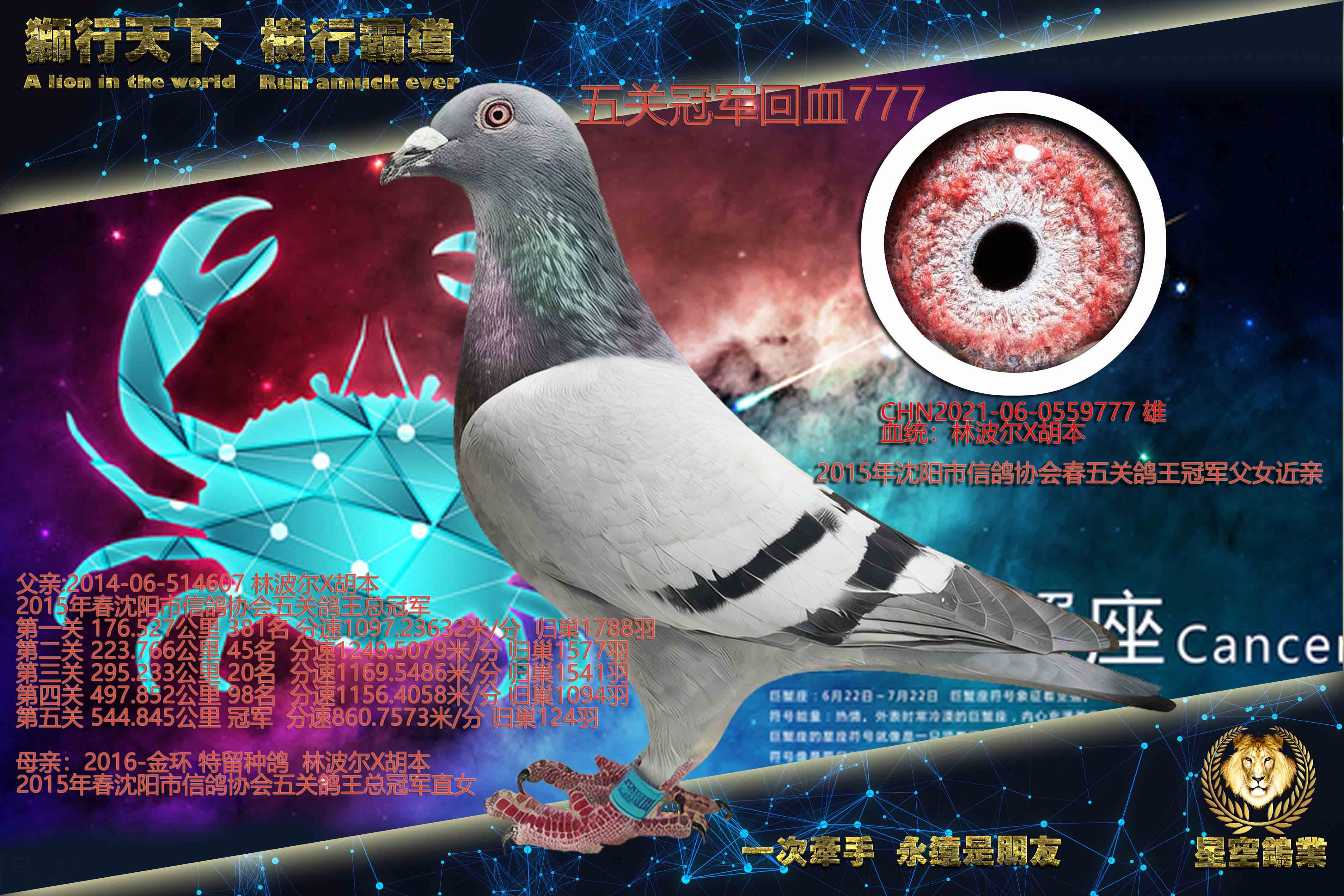 ��عھ���Ѫ777