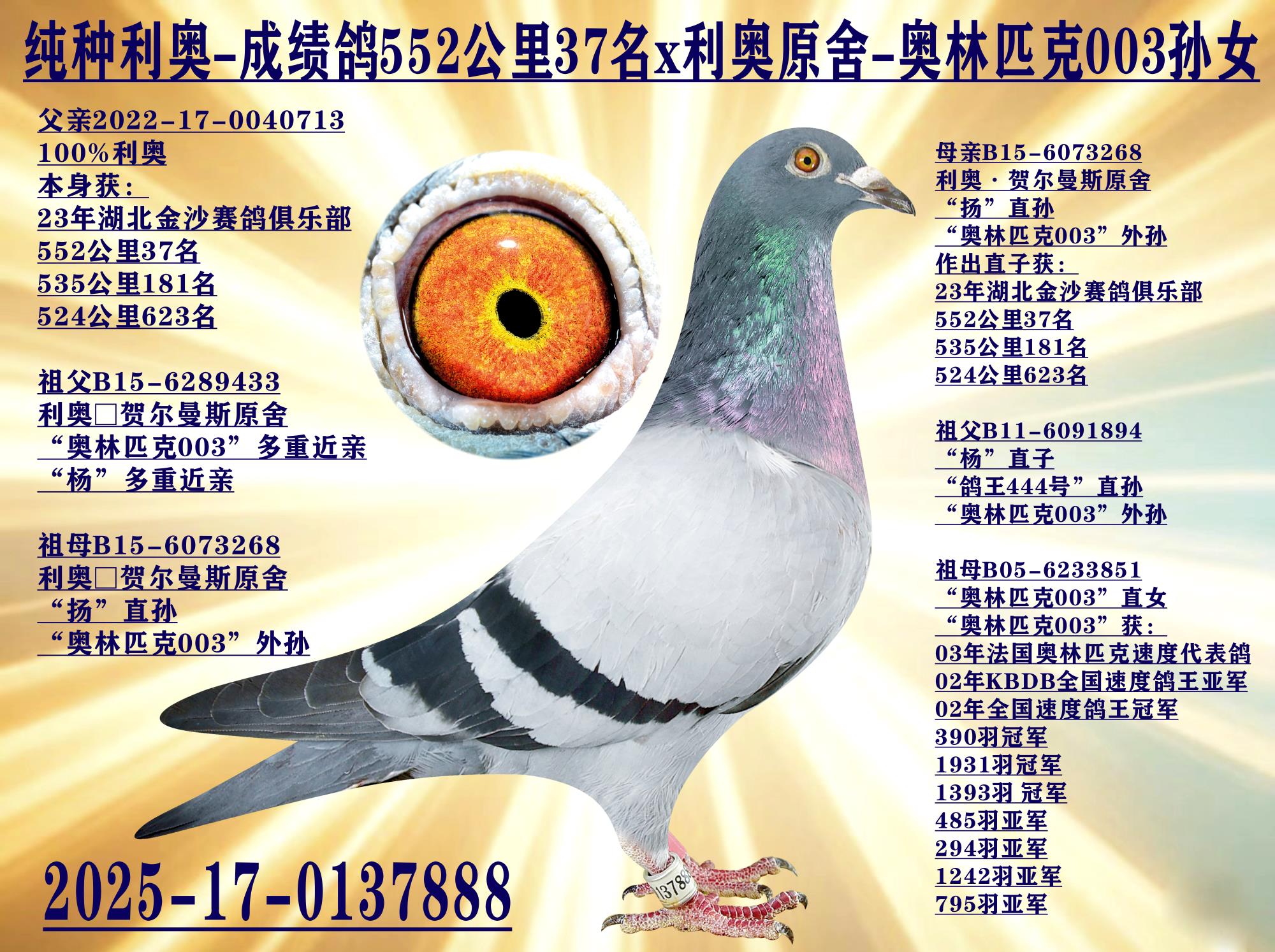 ��������-�ɼ���x����ƥ��003��Ů