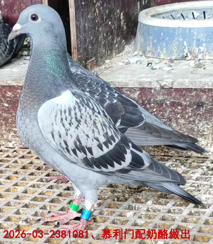 Ľ����