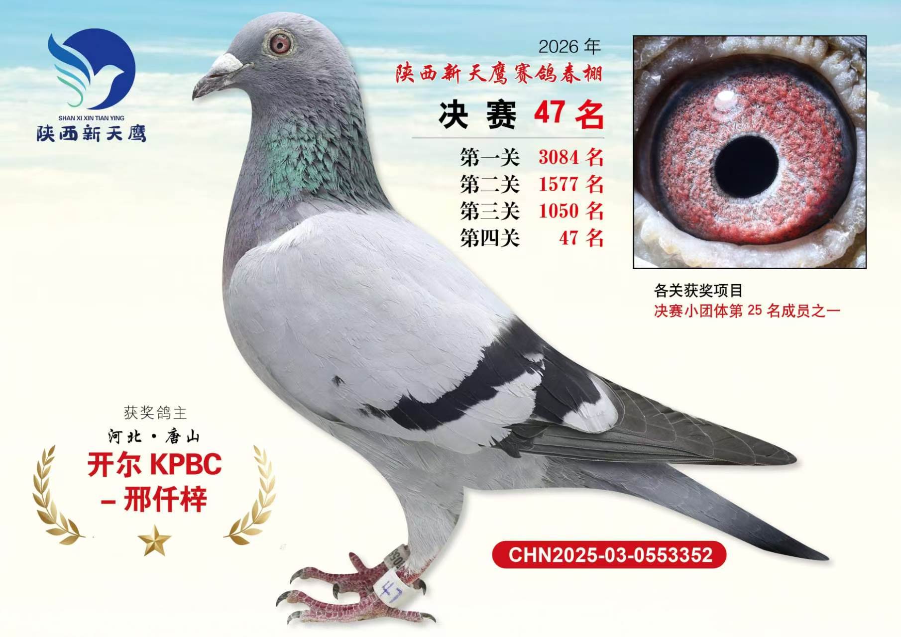 26�괺��������ӥ����47��