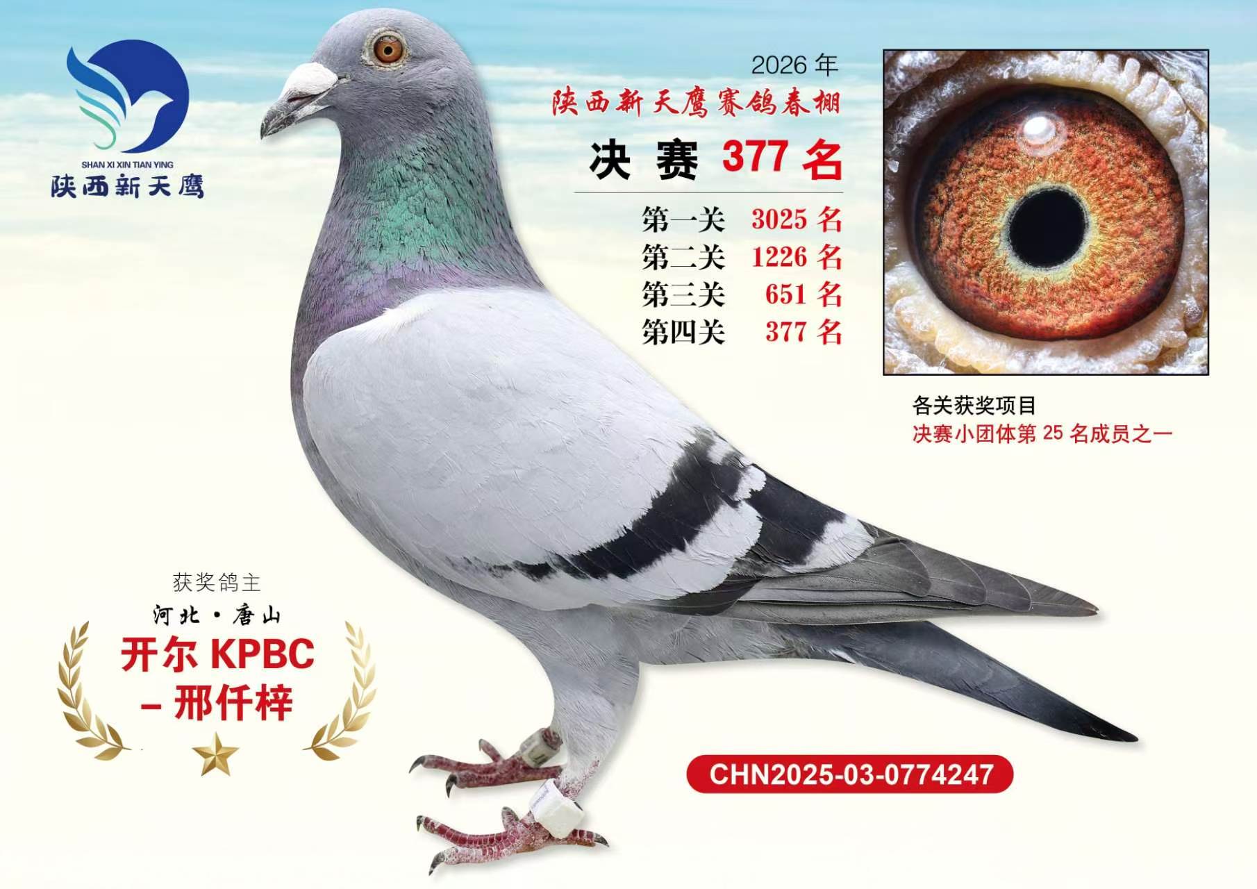 26�괺��������ӥ����377��