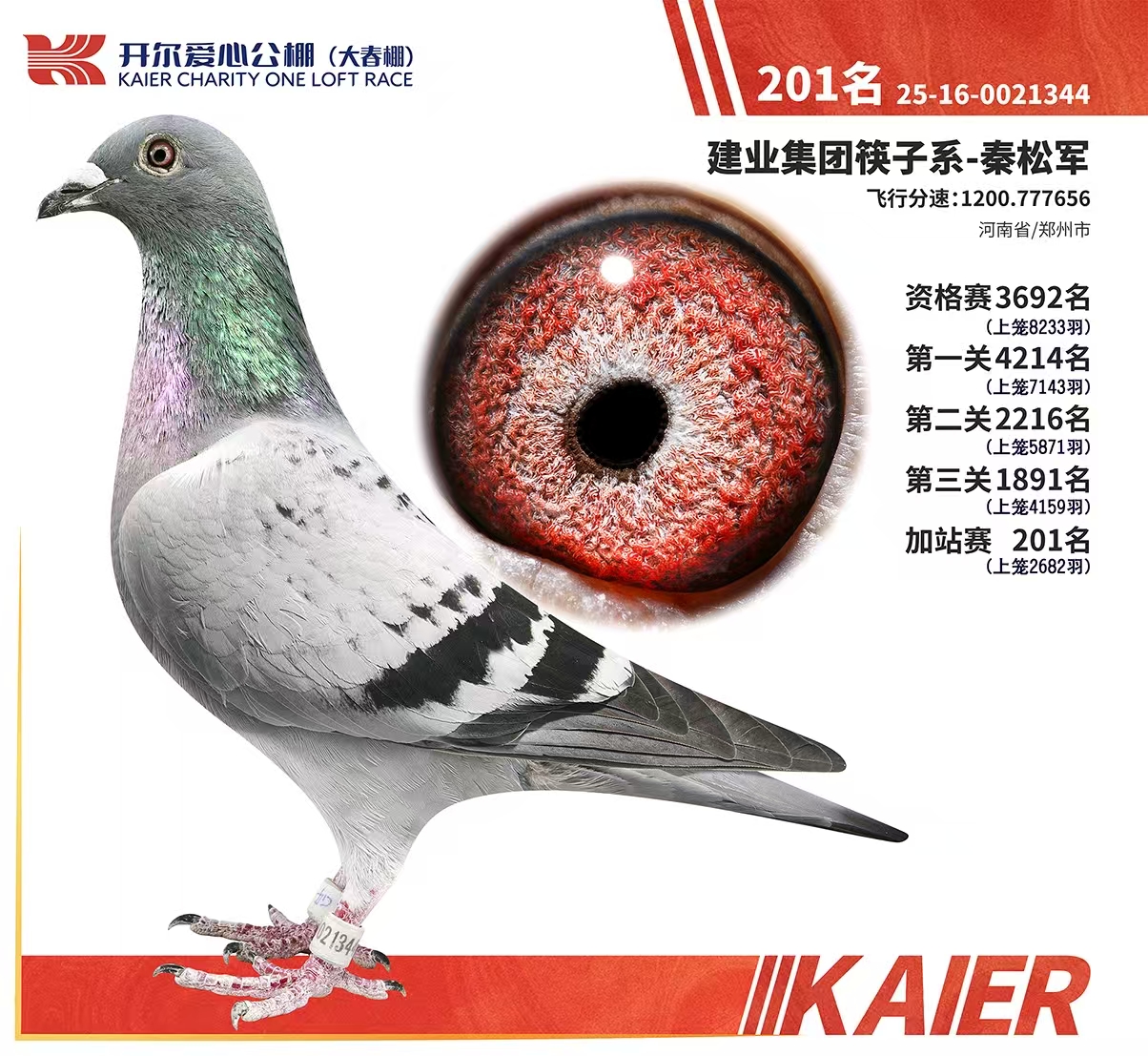 ���������վ��201��
