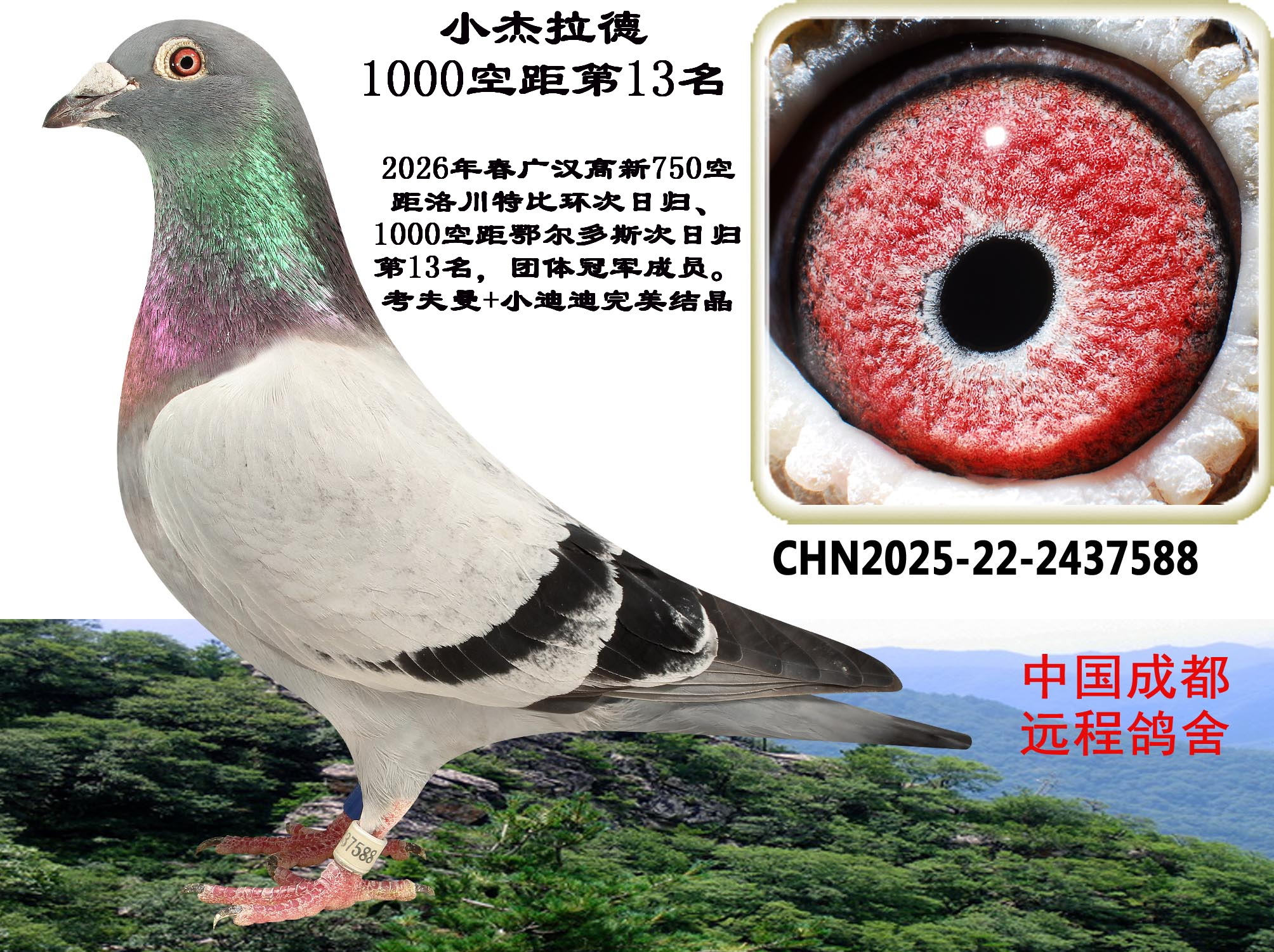 1000�վ���չ�13��