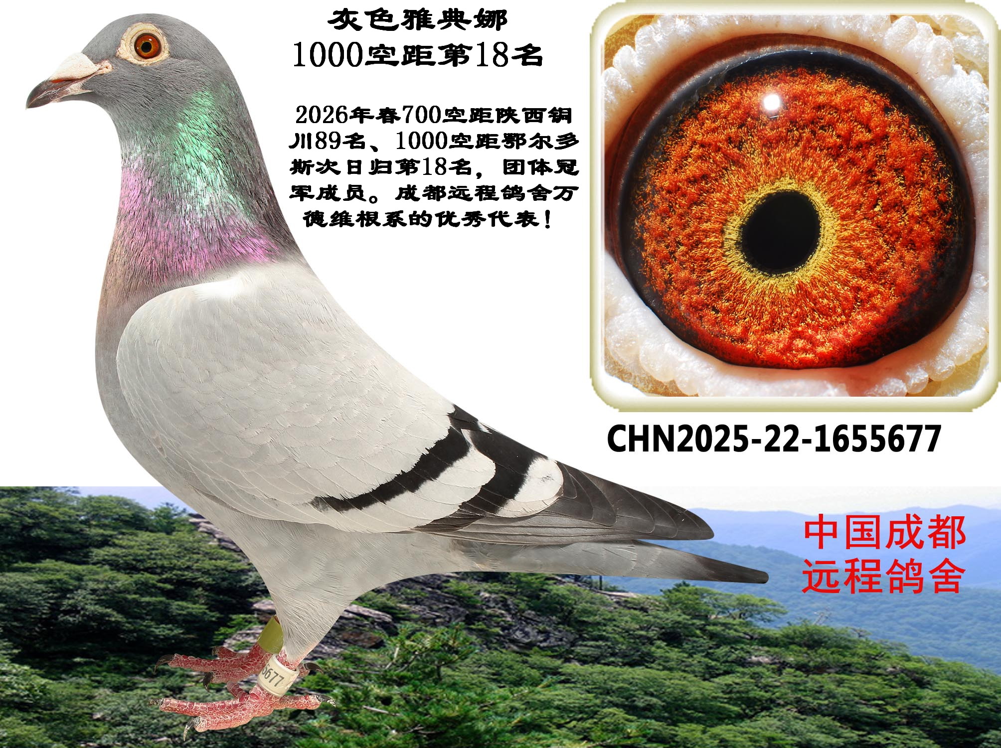 1000�վ���չ�18��