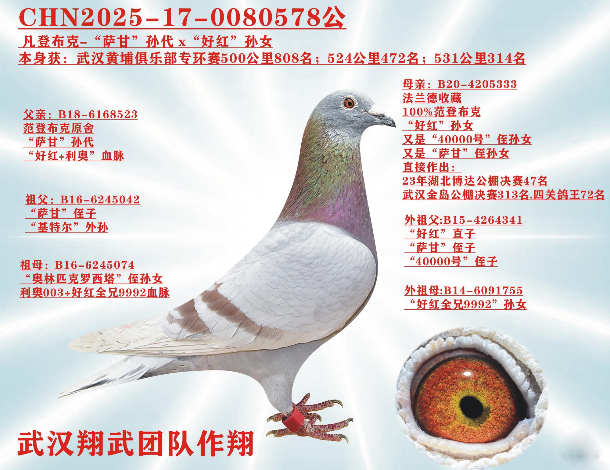 凡登布克