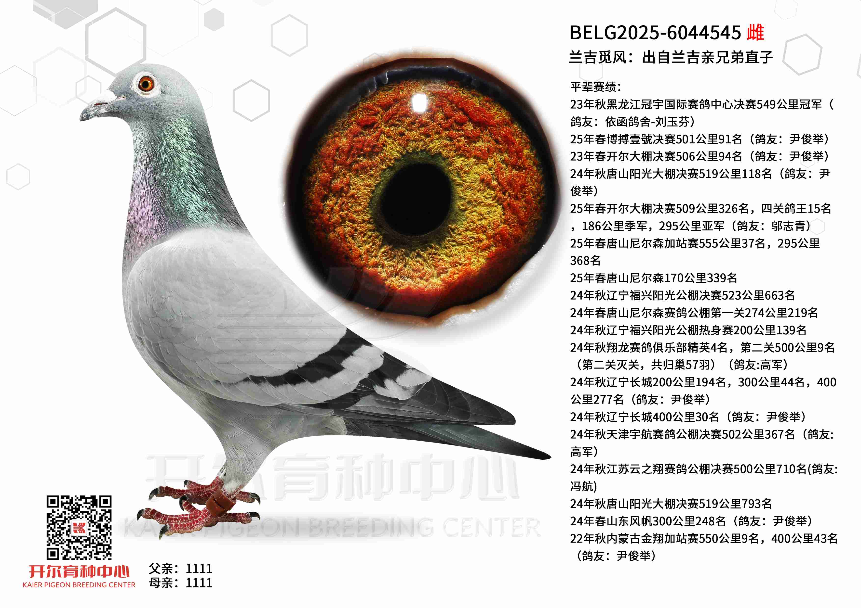 �����ٷ磺�����������ֵ�ֱ��
