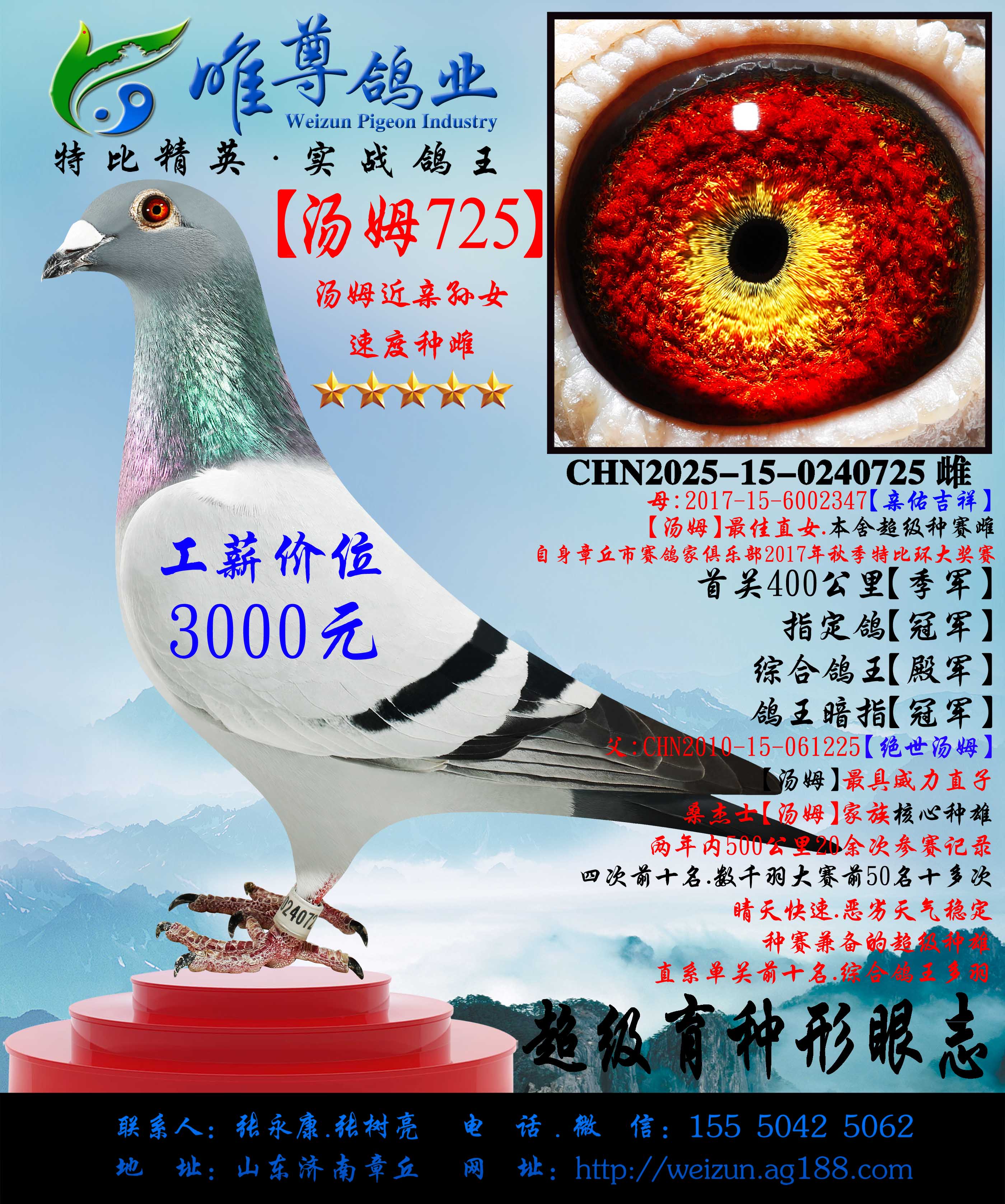 ����ķ725�����ý�������