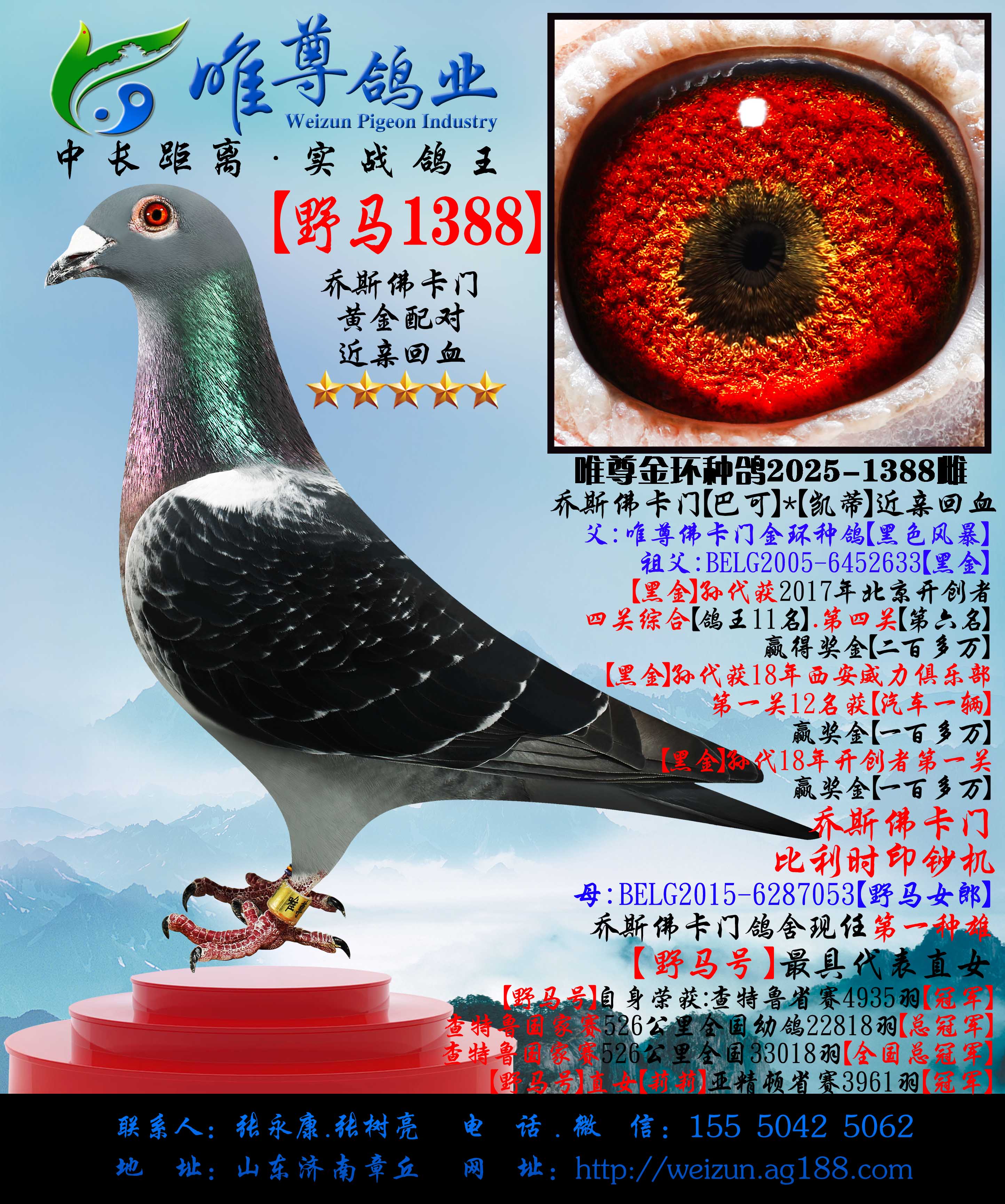 ����˹���š�Ұ��1388