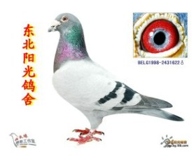 ����������020ֱ��