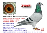 �������룭������