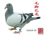 ϣ֮