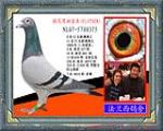 Ѫy(tng)