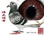   ̖(ho) 718-09