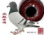 L(fng)ӿ  ̖(ho) 400-11