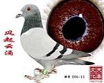 L(fng)ӿ  ̖ 006-11