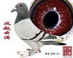 L(fng)ӿ  ̖(ho) 068-11