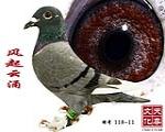 Lӿ  ̖ 118-11