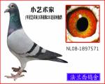 Ӣ˹ֵ231ϵ
