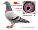 �رȵ��-ָ���ھ�-
