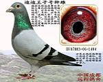 յϵ̖(ho)N