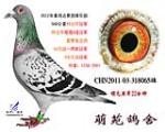 2012�괺���رȻ�