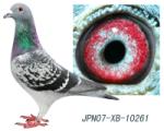 JPN07XB10261