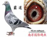 �Ե�-�����롰�շơ�