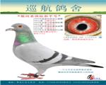 06���蹫���ܹھ� 