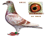 Ѫy(tng)