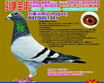 游