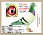 游Ɓ699