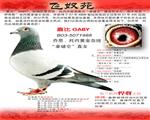 Ѫy(tng)