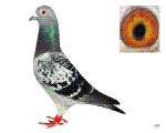 ĸH