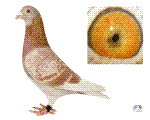 ĸH