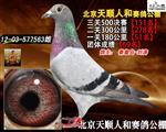 2012걱˺͹Qِ151
