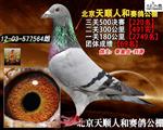 2012걱˺͛Qِ220