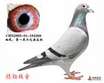 һʿѪֱO268