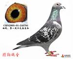 һʿѪֱO781