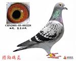 |ֱŮ(D(zhun)׌