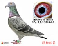 母親