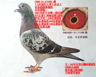 游