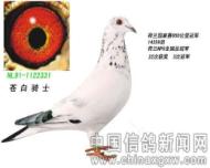 游