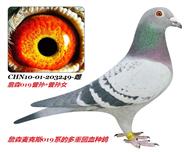 ��ɣ��ʿ727�š���