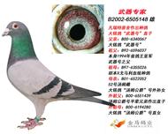 ɣ��ʿ052��֮�ӣ�