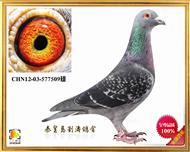 12ëQِ387F(tun)w7