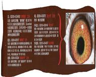 Ѫ�y(t��ng)��